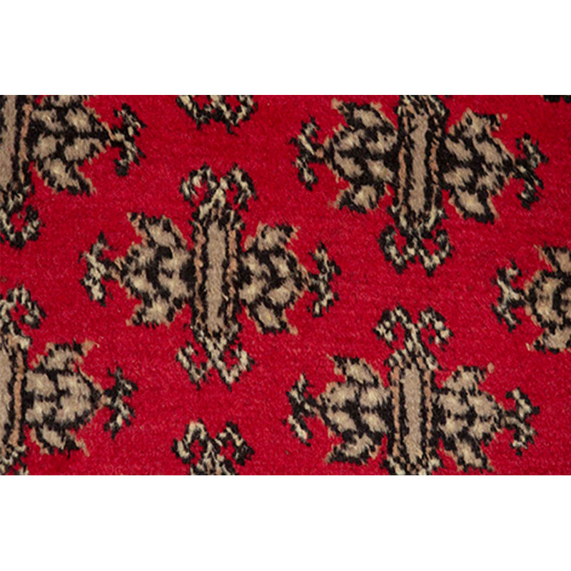 Hand-Knotted High-Quality Area Rug