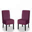 Ensemble de 2 chaises d'appoint Mid Century-983741770