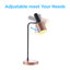 Lampe de bureau 22 po Deloris