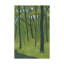 Gianara «Spring Woods Dark Green», reproduction de peinture acrylique sur toile tendue-30320073