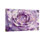 Plantes et fleurs, aquarelle de rose mauve