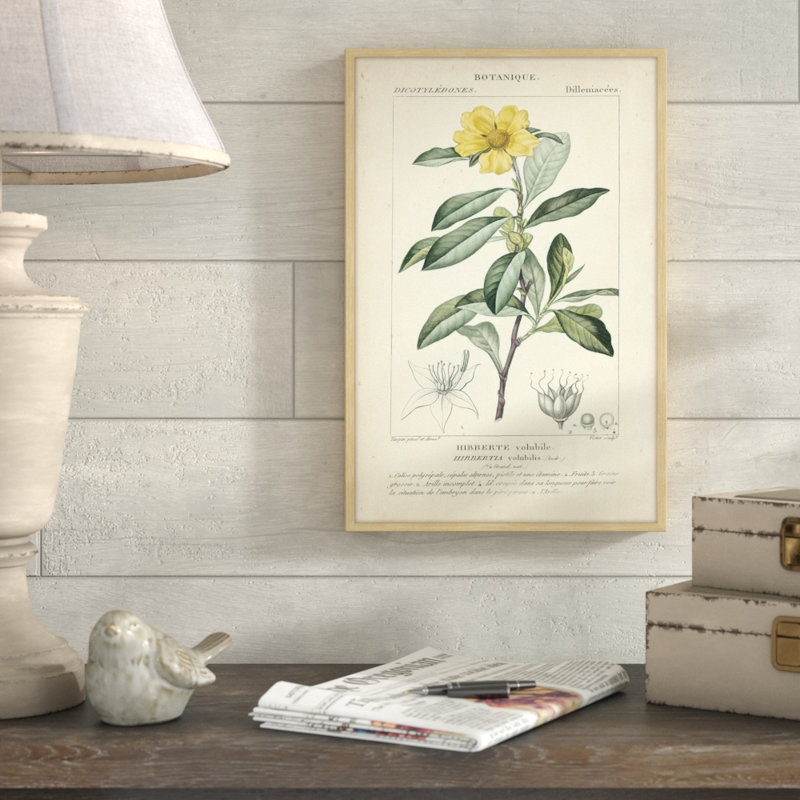 «Botanique Study in Yellow I», reproduction d'impression encadrée, H 24 po x l 16 po x P 1,5 po