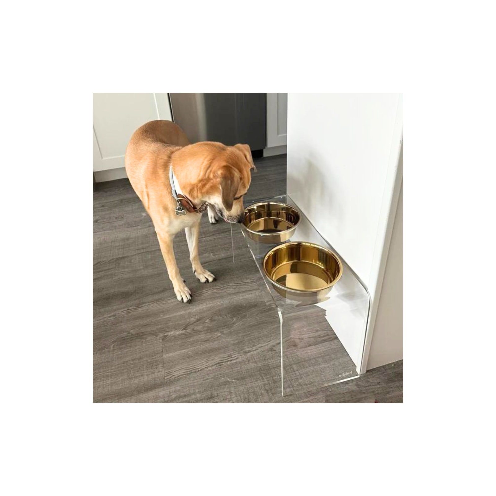 Tall Clear Elevated Feeder with Bowls, Gold