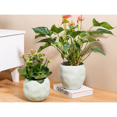 Hand Formed Grower Pot By 