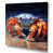 Wrapped Canvas