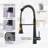 Red Cloud Pull Down Kitchen Faucet