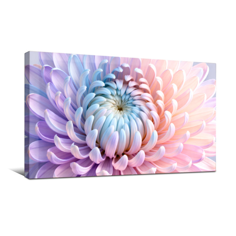 Plantes et fleurs, impression de fleur de chrysanthème coloré, H 28 po x l 58 po