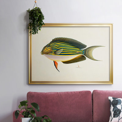 Couey " Tropical Fish Collection I "
