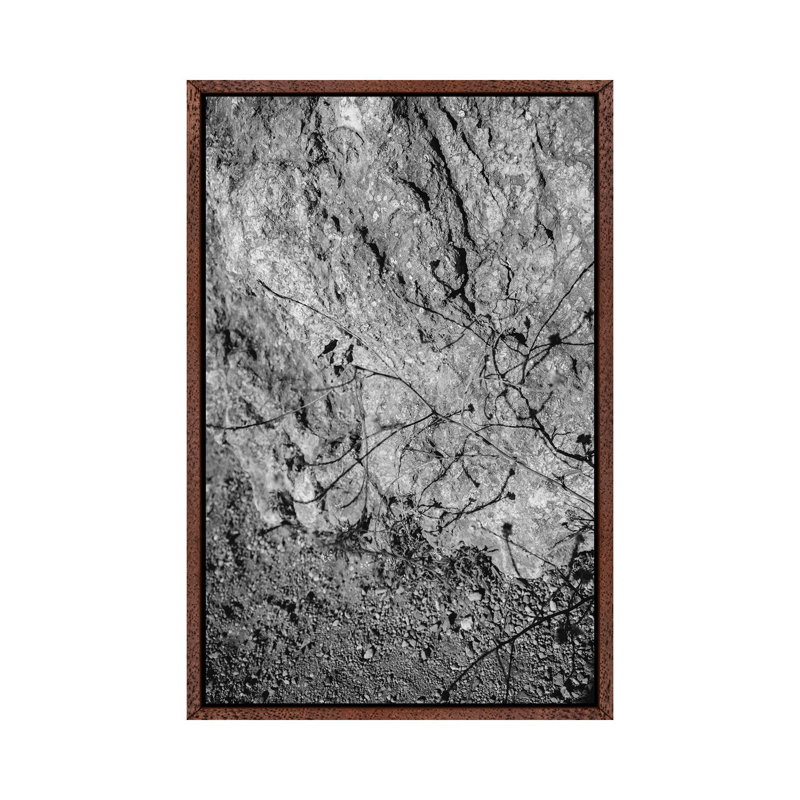 Big Sur Wild Flowers V by Bethany Young - Print on Canvas, Classic Brown Wood Framed, 152.4cm H x 101.6cm W x 3.81cm D