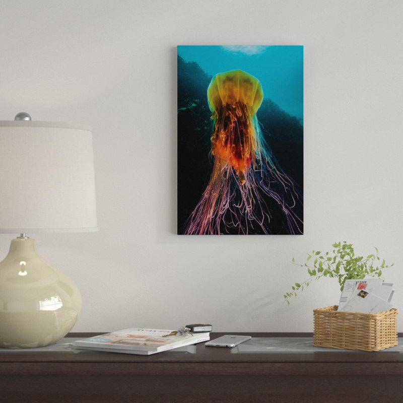 A Lion's Mane Jellyfish Rises From The Deep In Alaska II by Jennifer Idol - Wrapped Canvas Gallery-Wrapped Canvas Giclée