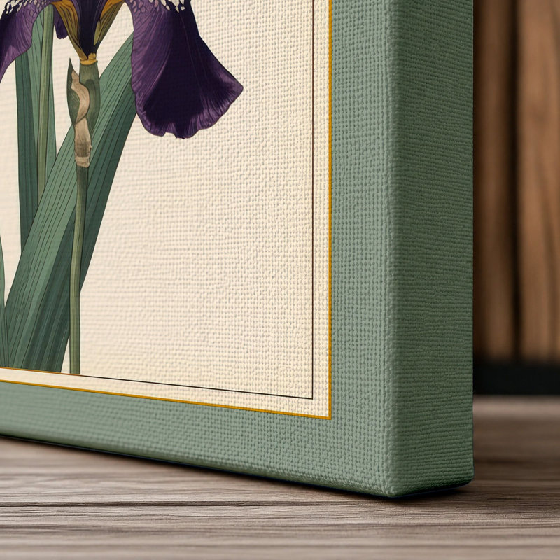 Purple Iris Study Botanical - Wrapped Canvas, 36x24 - 91.4 x 61.0 cm, Sage Border