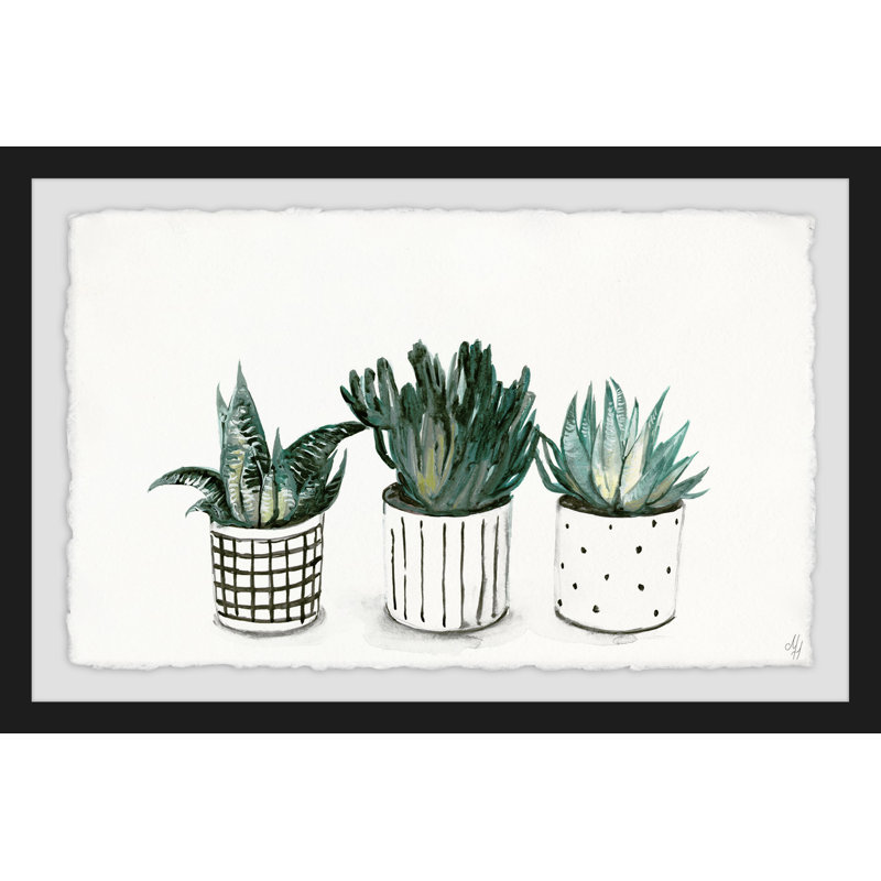 Succulent Mix - Single Picture Frame Painting, 20 cm H x 30 cm W x 3.81 cm D