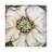 Hellebore by Jo Beer - Wrapped Canvas Print-596317356