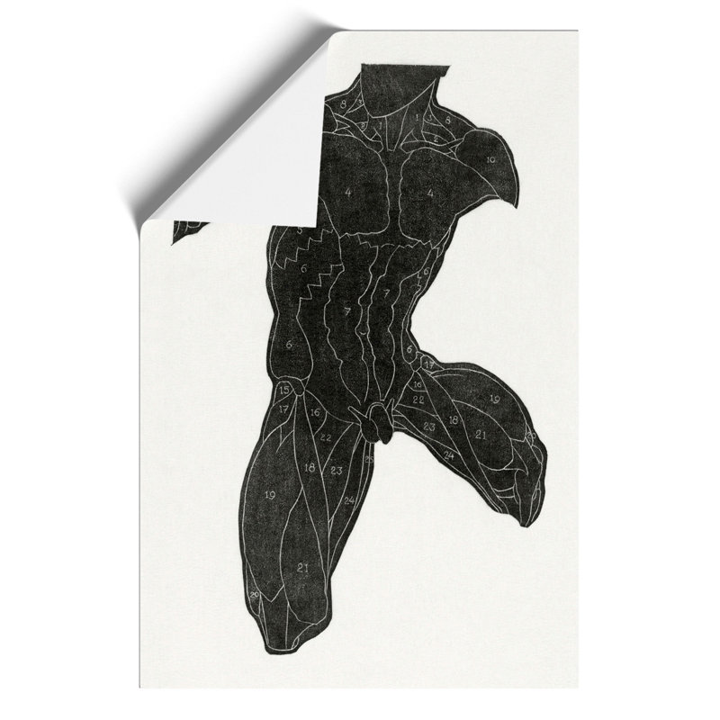 Anatomical Study Of A Man Vol.14 by Reijer Stolk - No Frame Painting, 42cm H x 30cm W x 0.1cm D