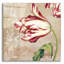 "Tulipes menthe poivrée II" par Sasha-811133408