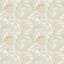 Anemone Floral Wallpaper Roll-1175009325