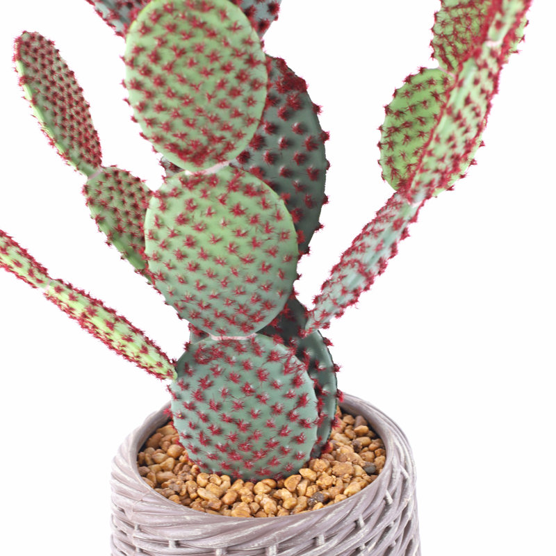 Cactus artificiel de 42 po dans un panier tissé - Plante artificielle d'intérieur réaliste pour la maison, le bureau ou le patio