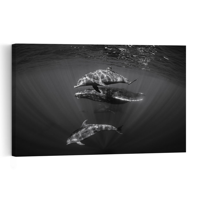 Ocean Whale And Dolphins Serene Contemporary Dolphin Whale Nature Ocean Wall Art Print 1 Piece Wrapped Canvas Wall Art
