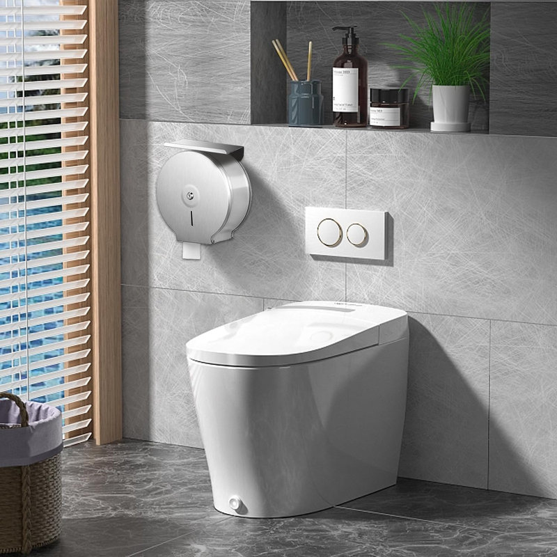 Wall Mounted Toilet Paper Holder