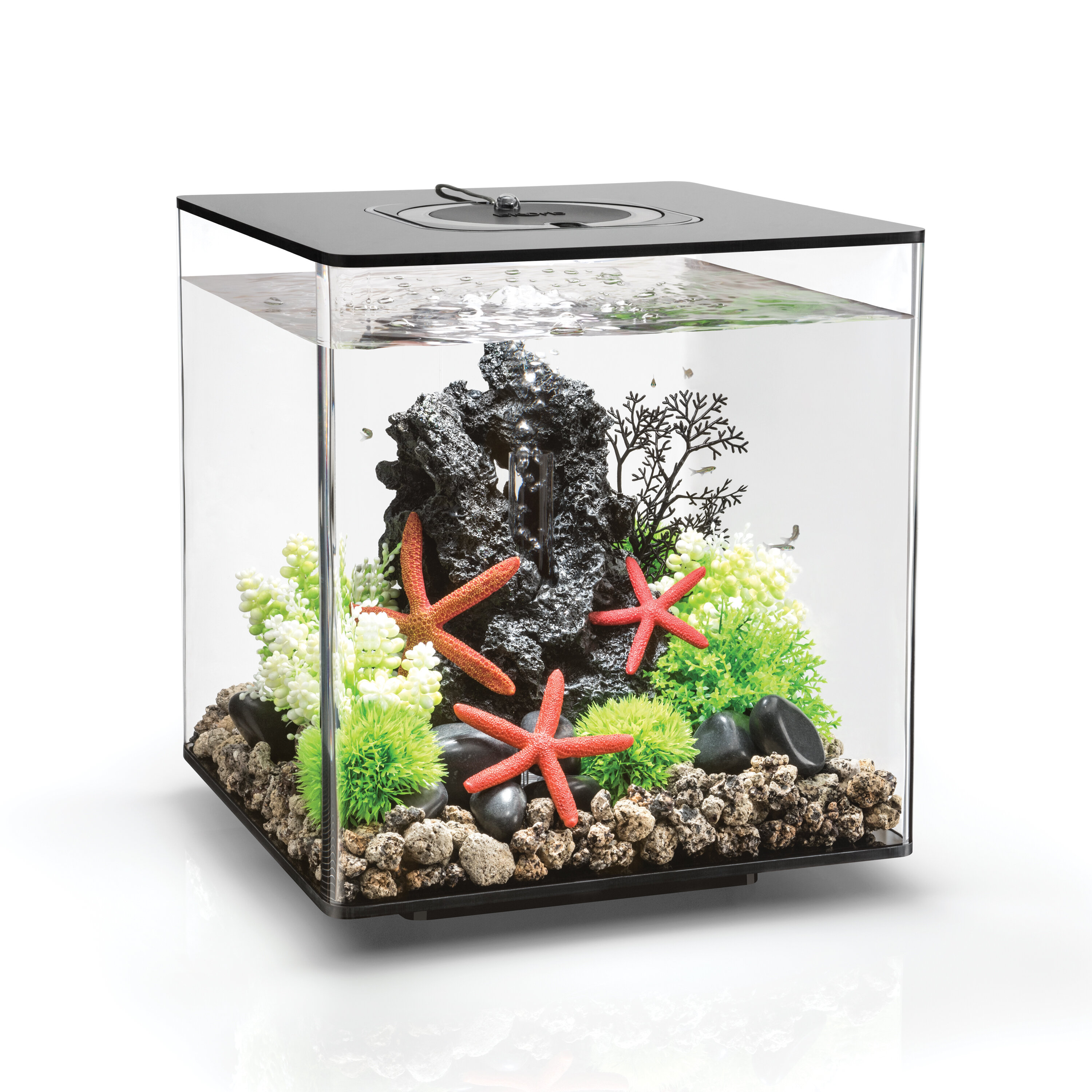 biOrb 8 Gallon Square Aquarium Tank with MCR Light