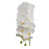 Blanc est en rupture de stock