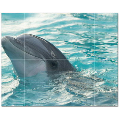 Murale décorative en céramique 4,25 po x 4,25 po Dolphin Photo