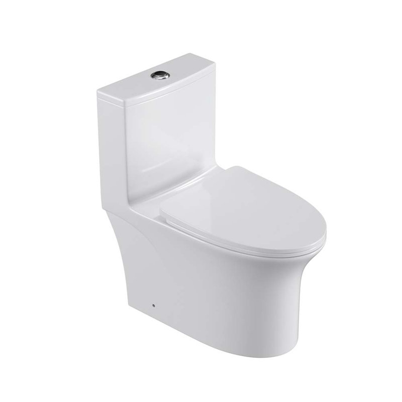 Toilette allongée une pièce 1,6 GPF Tusuton