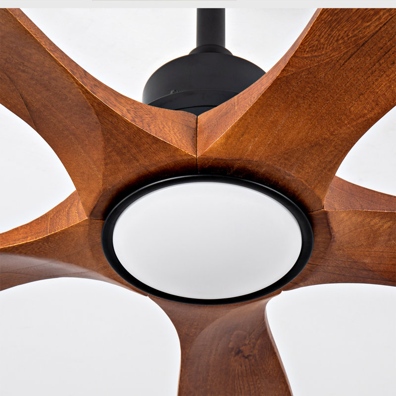 Hot Sales Ceiling Fans With Lights And Remote, Black, Brown