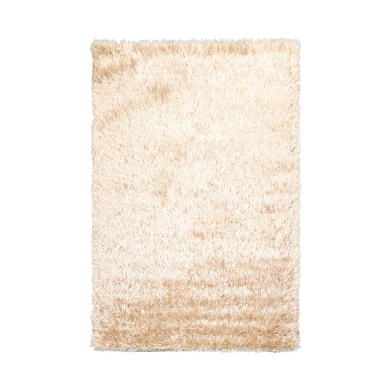 Tapis à poil long moderne et contemporain fabriqué à la main en polyester beige, Rectangulaire 3 pi x 5 pi