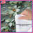 Floral Leafy Vines Comforter-128736909