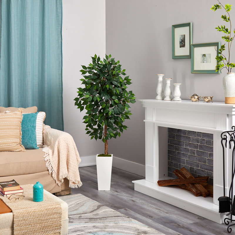 Arbre ficus artificiel en pot, H 54 po x l 21 po x P 19 po, Blanc