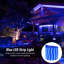 Guirlande lumineuse à DEL 600 po Harielson-795976300