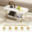Coffee Table with Storage