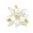 Blanc est en rupture de stock