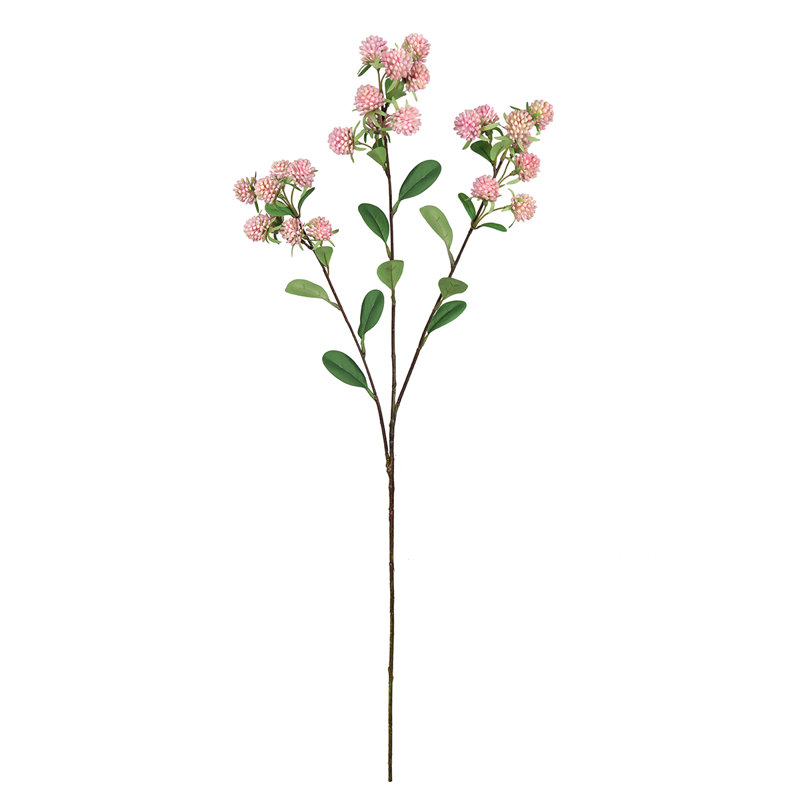 Tige de baies sauvages, Rose