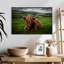 Vache Highland Brampt-107683289