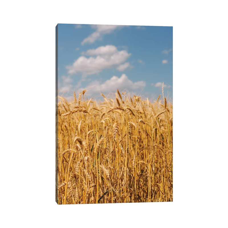«Summer Wheat Fields II» par Bethany Young - Giclée sur toile tendue avec châssis, H 40 po x l 26 po x P 1,5 po