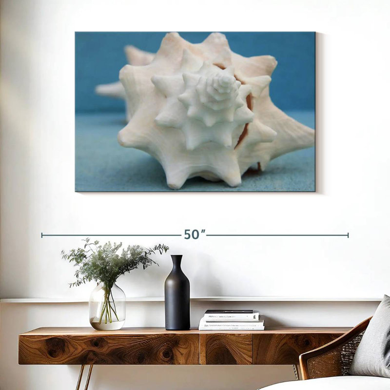 Coquillage blanc Aletra, H 26 po x l 39 po