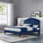 Modway Daisy Performance Velvet Platform Bed-674783384-674783389
