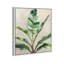 Jolies plantes II - Impression sur toile-77338768-77338771