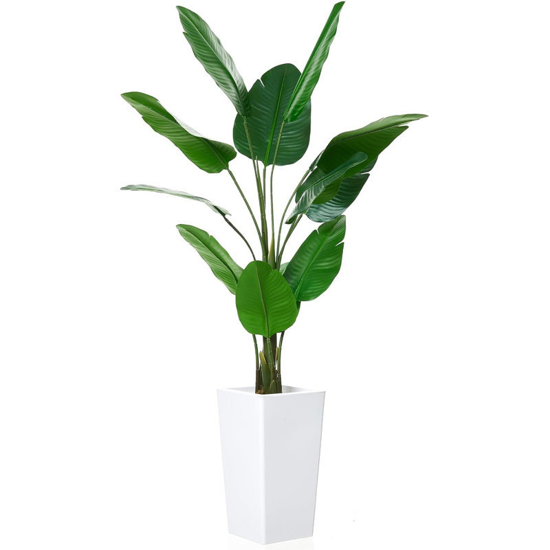 57.87cm Plant