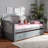 Eugonda Upholstered Daybed with Trundle Bed-1031596187