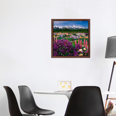 Iris & Lupine Field, Grand Teton National Park, Teton County, Wyoming, Usa by Adam Jones - Print on Canvas