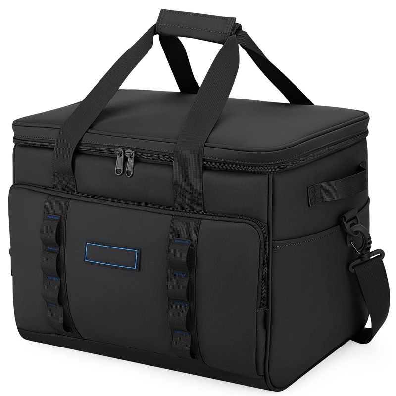 Ebern Designs 37L Picnic Tote Bag Cooler, Black