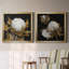Cotton Balls I - Cadre photo-1492861059-1492861056-1492861069
