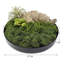 Plastic / Acrylic Tray-15058440-15058439