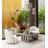 Vault Solid Wood Dining Table