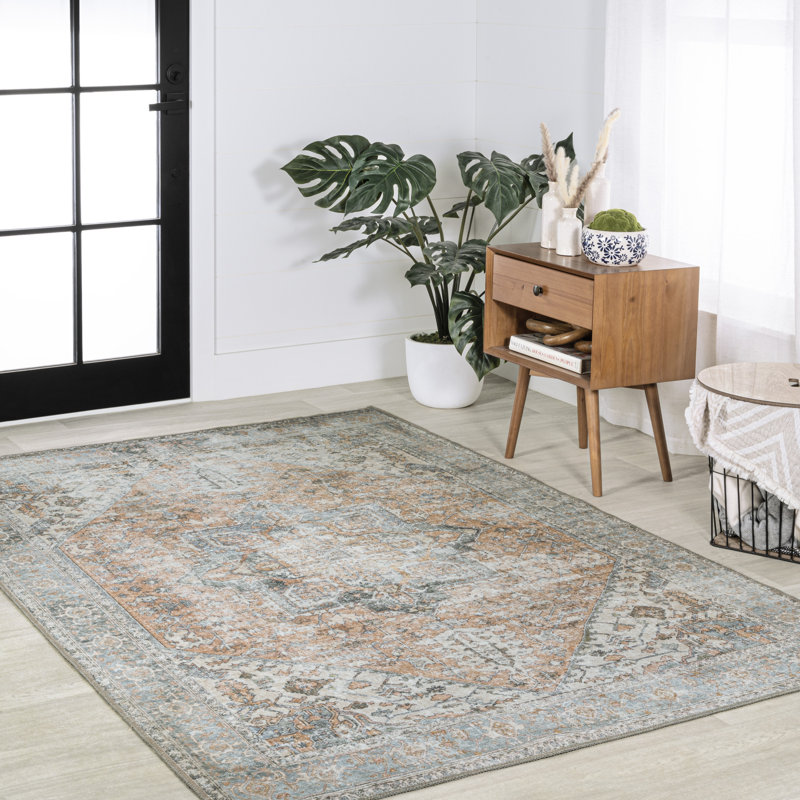 Heinfried Distressed Medallion Chenille Machine-Washable Terra/Blue Rug, Rectangle 3'11" x 6'