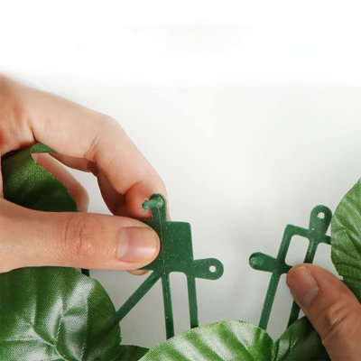 Simulation télescopique de feuille de lierre