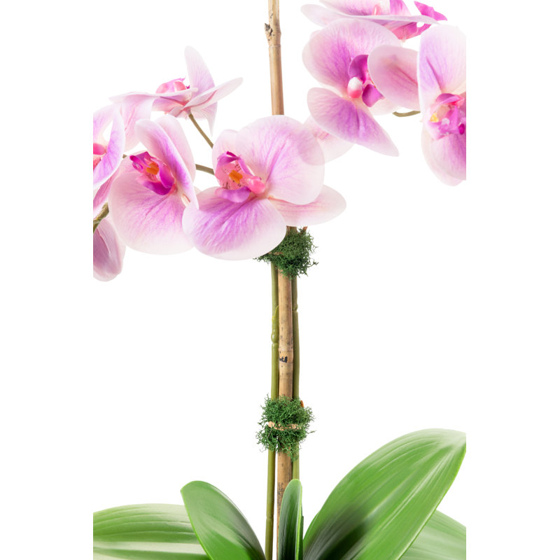 Orchidée fonctionnelle Realtouch dans un vase en ciment, Mauve